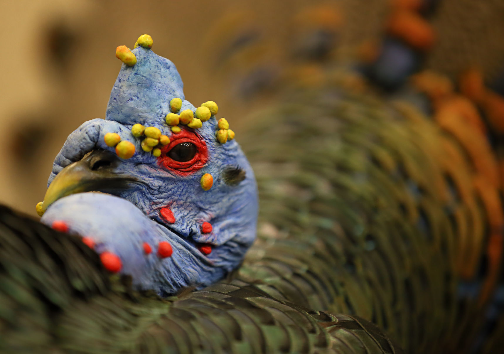 2019 World Taxidermy & Fish Carving Championships in Springfield, Mo.